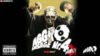 FLER  NEUE DEUTSCHE WELLE  AGGRO ANSAGE NR 4X  ALBUM  TRACK 02 [upl. by Oaht]