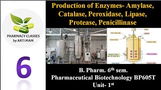 Production of enzymes Amylase Catalase Peroxidase Lipase Protease Penicillinase  Ph Biotech [upl. by Oznola]