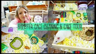 HAMSTER CAGE CLEANING amp CAGE TOUR  Hamster DIY Platform FAIL 🐹😩 [upl. by Shaeffer335]