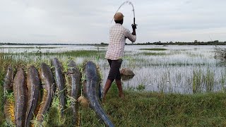 snekhead fishing  in dam backside water ms fishing world [upl. by Coral946]