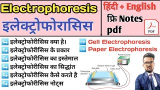 Electrophoresis in hindi  Gel Electrophoresis  Pepar Electrophoresis  Agarose Gel Electrophoresis [upl. by Pretrice]