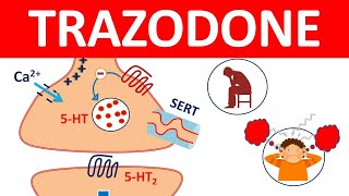 Trazodone tablets and Important Side effects [upl. by Siurad]