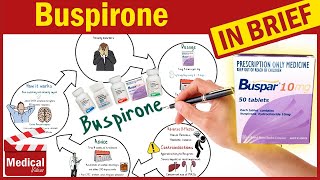 Buspirone HCl Buspar What is Buspirone Buspar Uses Dosage Side Effects and Mechanism of Action [upl. by Ark]