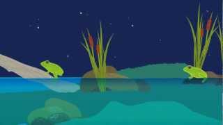 Frog Life Cycle Animation [upl. by Arlynne900]