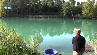 Pesca con la bolognese sul fiume Mincio [upl. by Aitercal]