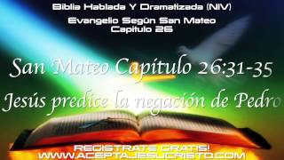 SAN MATEO Capitulo 26 BIBLIA HABLADA Y DRAMATIZADA NVI [upl. by Stauffer]