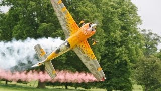 EXTREME 3D AEROBATICS  SASCHA FLIEGENER CARF SUKHOI SU 29 DA170 WESTON PARK RC MODEL AIRSHOW  2013 [upl. by Hewie]