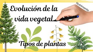 TIPOS DE PLANTAS  Evolución de la vida vegetal [upl. by Ayitahs]