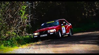 SS3 Alla bilar 20241005RALLY ASKERSUND [upl. by Katheryn]