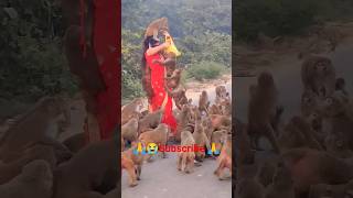 🙏 बहुत ही भूखी है मेरी family 🐒humanity respect monkey viralshort animals ytshorts friends 🙏🙏 [upl. by Abana]