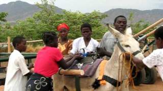 Donkey project Empowering women in Malawi Matunkha Centre cart hitching 2 [upl. by Akialam]