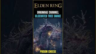 You can poison cheese almost every single Ulcerated Tree Spirit in Elden Ring [upl. by Inaffit]