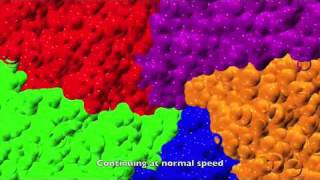 Onemicrosecond molecular dynamics simulation of channel gating in a nicotinic receptor homologue [upl. by Nayek773]