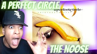 MAYNARD is INSANE A PERFECT CIRCLE  THE NOOSE  REACTION [upl. by Aurie753]