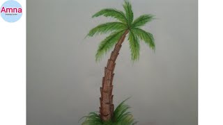 How to draw a palm tree step by step Easy drawing for beginners [upl. by Eiramadnil665]