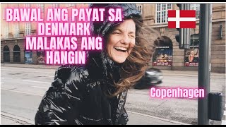 COPENHAGEN CITY CAPITAL OF DENMARK philippines travel copenhagen denmark europe india [upl. by Siramad]