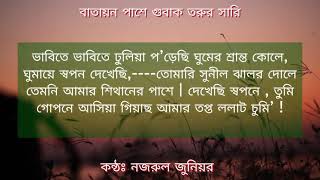 Bangla Kabita l। কাজী নজরুল ইসলামের কবিতা।। বাতায়ন পাশে গুবাক তরুর সারি [upl. by Aggappera]