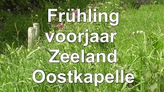 Frühling  voorjaar  Zeeland  Oostkapelle  Urlaub  Holland  Meer  See [upl. by Nosmoht577]