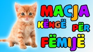 macja le te lahet kenge Kenge per femije │ Bleta ™ [upl. by Anali]