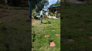 How easily lawn grass cleaned agriculture lawn equipment grasscutter machine shorts [upl. by Gaskins697]