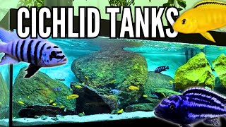 10 Beautiful Cichlid Tank Setups Mbuna Cichlids [upl. by Kehoe]