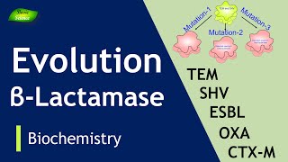 Evolution and types of Betalactamases  ESBL  Antibiotic Resistance  Basic Science Series [upl. by Eugaet558]