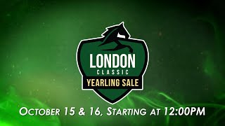 2024 London Classic Yearling Sale  Day 1 [upl. by Everson]