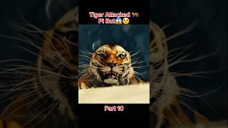 Tiger🐅 Attacked Pi But😱  Life of Pi Movie Explanation shortsfeed shorts moviepious [upl. by Eeb]