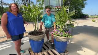 Planting Up the New Proven Winners 2025 Annuals in Our AquaPots [upl. by Corabelle]