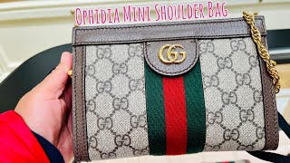 Glimpse Gucci Ophidia mini shoulder bag [upl. by Ateuqal529]