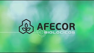 VIDEO AFECOR BIOLOGICOS [upl. by Jehu895]