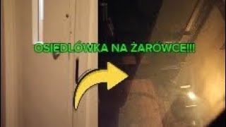 Wieczorna osiedlówka na żarówce 11p ZREMB [upl. by Burnley]