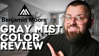 Is Benjamin Moore Gray Mist the Best Neutral  InDepth Review [upl. by Dnalsor821]