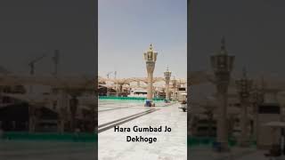 Hara Gumbad Jo Dekhoge [upl. by Pacheco]