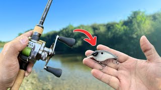 BFS Crankbait Fishing [upl. by Lehmann110]