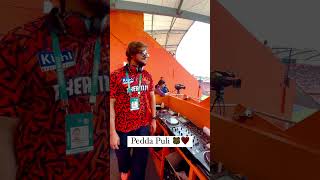 Pedda Puli DJ Song  Peddapuli Telangana Song In IPL 2024  DJ Ravish  Sunrisers Hyderabad [upl. by Paderna63]