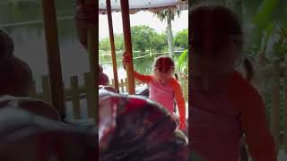 Baby rides carousel at Lion Safari Park with excitement toddlers beachbaby cutebabies kids [upl. by Saturday]