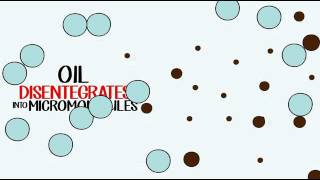 How naturama breaks down oil fat and grease [upl. by Trisa195]