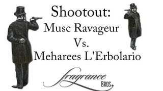 Shootout Musc Ravageur vs Meharees LErbolario [upl. by Duyne737]