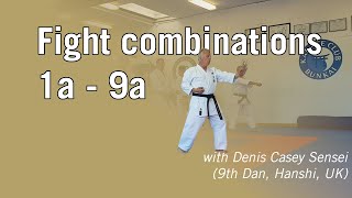 Fight combinations 1a9a Denis Casey Shukokai Karate [upl. by Riley333]