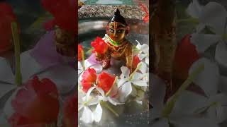 Laddu Gopal snan video🚿🙏 [upl. by Ahsienak]