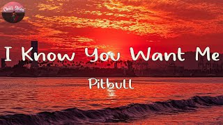 Pitbull  I Know You Want Me Lyrics  I know you want me you know I want cha TikTok [upl. by Yelrehs536]