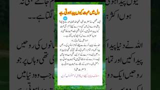 Dil mein mohabbat kyon paida hoti haiislamicquotes quotes islamicshorts religiousquotes [upl. by Zola373]