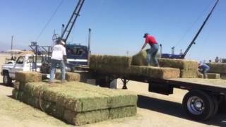 HAY BUCKING TULARE ANTIQUE FARM SHOW [upl. by Sucramed11]