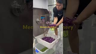 Vegetable Shredding Machine [upl. by Kumler260]