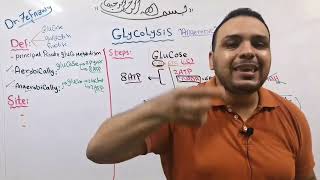 2 Glycolysis part 1 علاج بنها [upl. by Debarath]