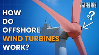 How do offshore wind turbines work [upl. by Enrobso]