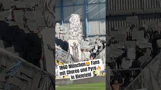 1860 München🦁 Fans in Bielefeld mit Choreo und Pyro🔥 ultras 1860 münchen dritteliga [upl. by Eigger200]