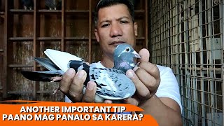 TIPS KUNG PAANO MAG PANALO SA KARERA sir jay part 2 [upl. by Ahsienal24]