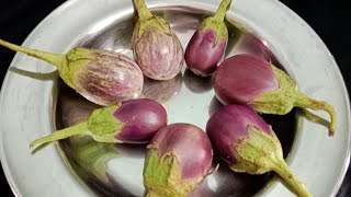 இட்லி தோசைக்கு ஏத்த சைடு டிஷ்  Kathirikai Side Dish for Idli Dosa  Brinjal Recipe  Karur Kitchen [upl. by Ulda]